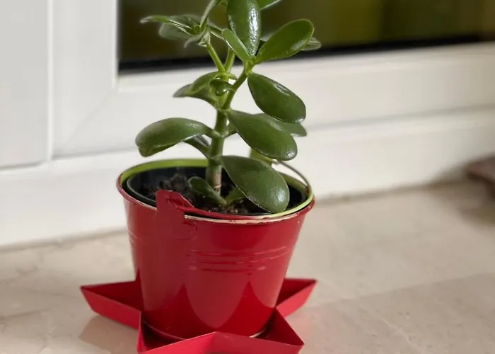 Smart-apartment Station-free Parking ברגמו